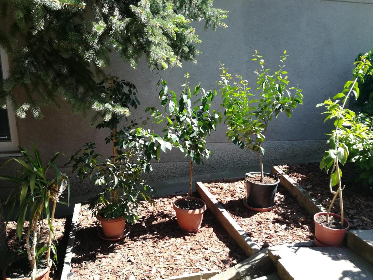 Setany Apartmanhaz Fonyód מראה חיצוני תמונה